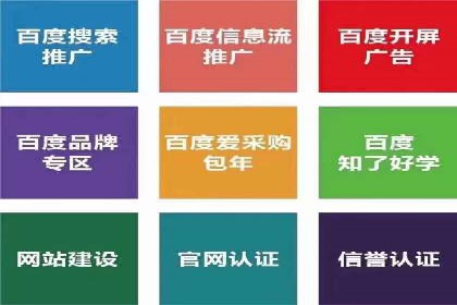 百度竞价代运营公司成功案例解析